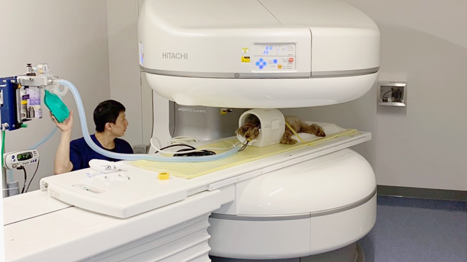 獣医画像センター 画像検査専門の動物病院です 犬や猫など小動物のｃｔ ｍｒｉ検査も可能です